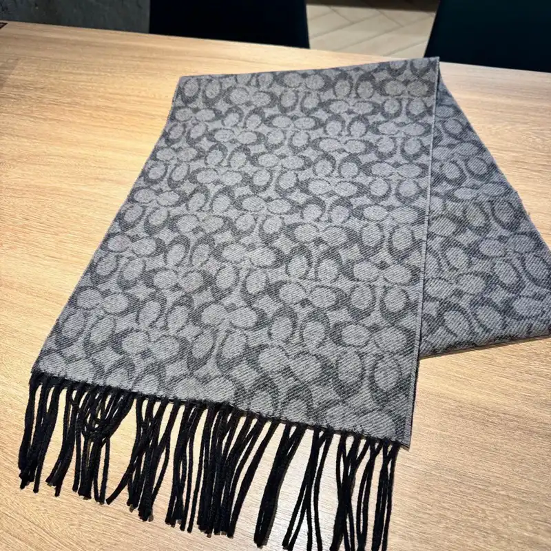 SCARVES scarves 2410SC0190