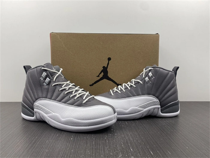 Jordan 12 STEALTH CT8025- Sleek 4144