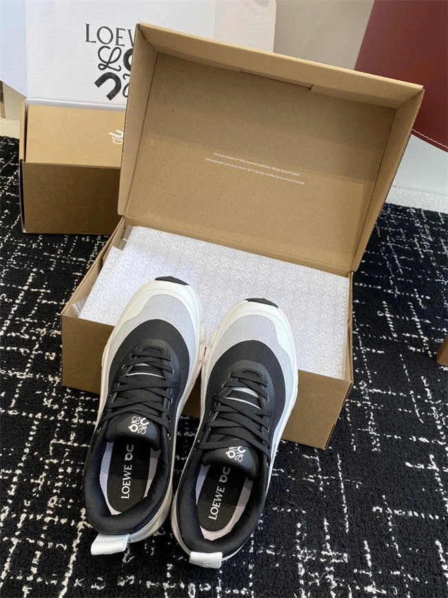 Loewe Sneaker Stylish 2456